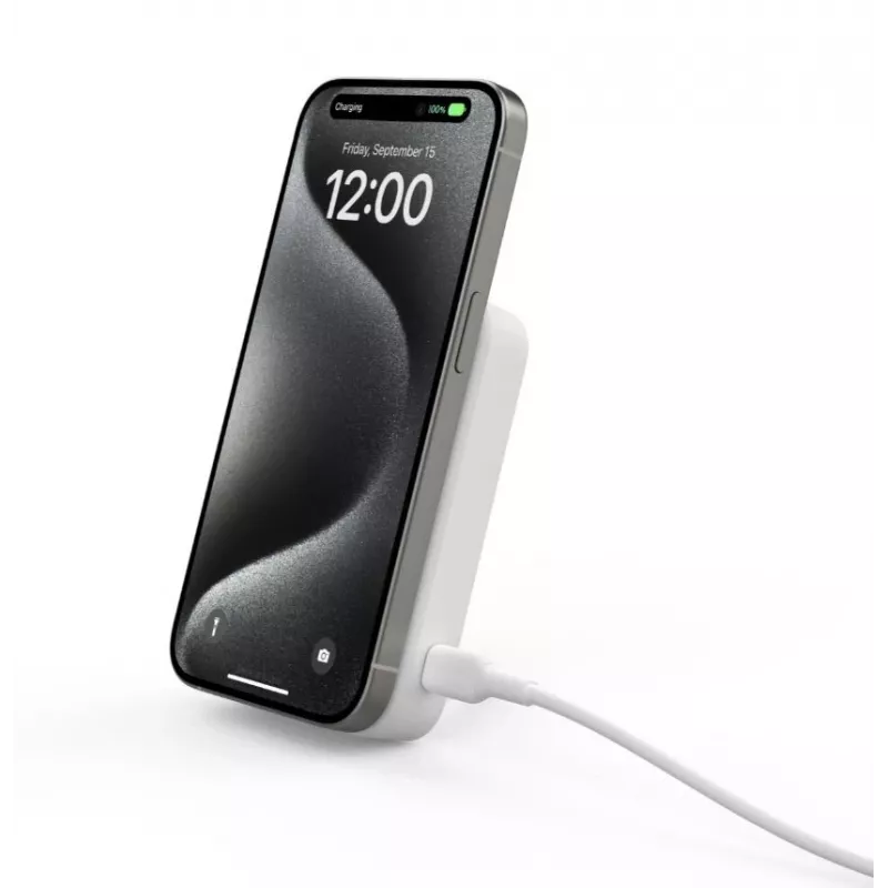 Tragbares Ladegerät Belkin BoostCharge Pro 15W