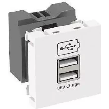 OBO USB-Ladegerät mit 2,1 A Ladestrom MTG-2UC2.1 RW1 - 45 x 45 mm (6105300)