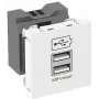 OBO USB-Ladegerät mit 2,1 A Ladestrom MTG-2UC2.1 RW1 - 45 x 45 mm (6105300)