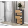Kommode Top e Shop W5 ANT/ART, 5 Schubladen, Anthrazit/Eiche, Spanplatte