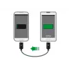USB-Kabel DeLOCK 83570 USB 2.0 0,3 m USB B Schwarz