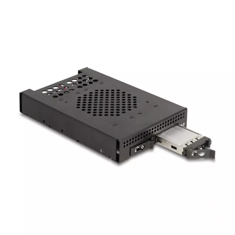 SSD-Gehäuse DeLOCK 47117 3,5 Zoll Wechselrahmen für 2 x M.2 NVMe SSD