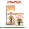 Trockenes Katzenfutter Royal Canin British Shorthair Adult 10 kg – Geflügel, Protein 34%, Fett 19%