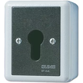 Schlüsselschalter JUNG 806.28 G — 2-polig, kabelgebunden, 250 V AC, 16 A, schwarz/weiß