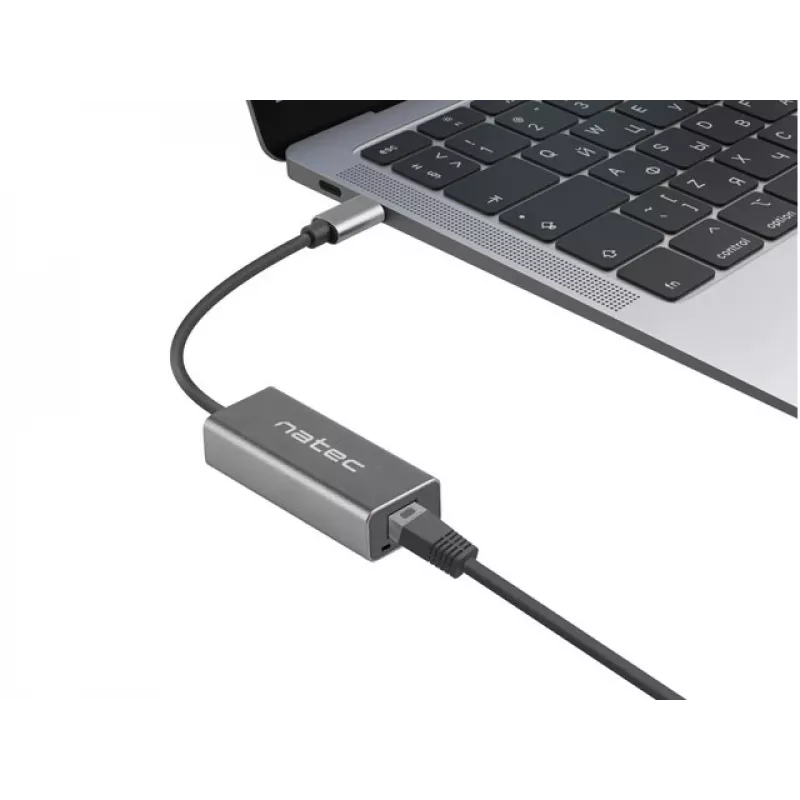 NATEC Cricket USB 3.2 Gen 1 Type-C Grau Ethernet Hub 1000 Mbit/s