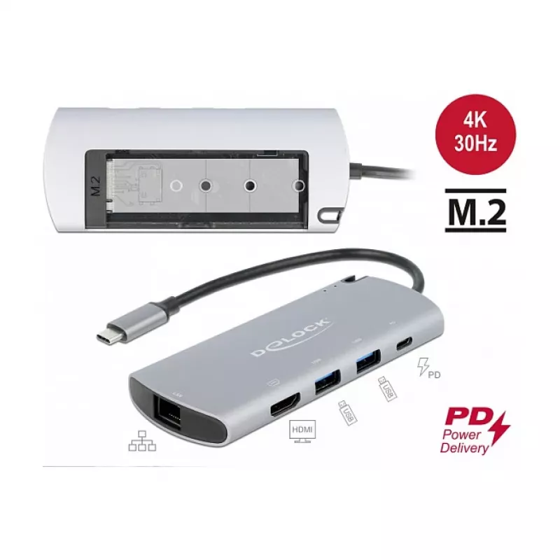 Dockingstation DeLOCK USB Type-C Dockingstation mit M.2-Steckplatz