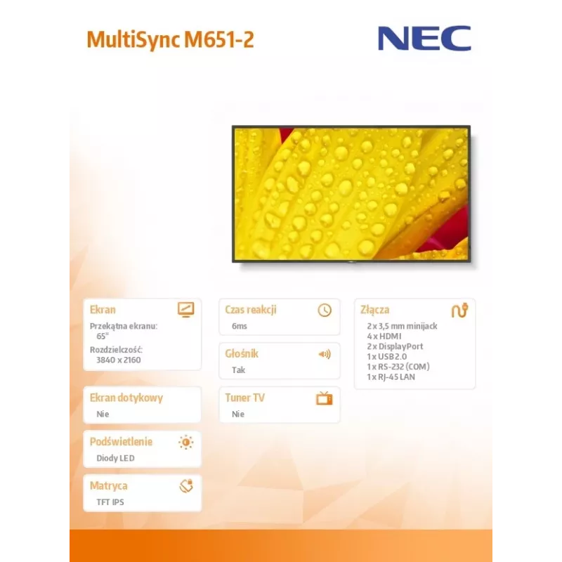 NEC MultiSync M651-2 Kioskdesign 165,1 cm (65 Zoll) LED 500 cd/m² 4K Ultra HD Schwarz Eingebauter Prozessor