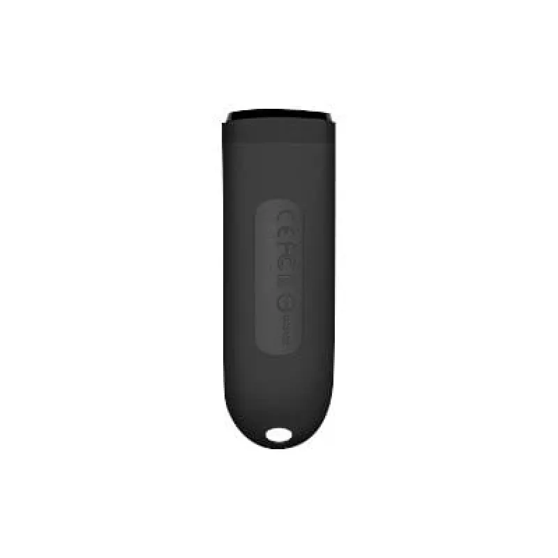 Transcend JetFlash 790 256GB Schwarz