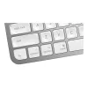 Tastatur MX Keys Mini Mac Pale 920-010526 grau
