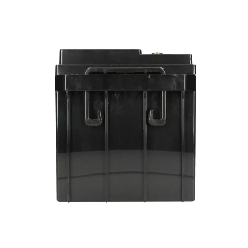 Versiegelte Blei-Säure-Batterie Extralink Akkumulator AGM 12V 65Ah, VRLA, schwarz, 1 Stück