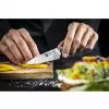Zwilling TANREI 10 cm Spick- und Garniermesser