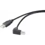 Renkforce RF-4613068 USB-Kabel 0,5 m USB 2.0 USB A USB B Schwarz (RF-4613068)