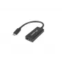 Video-Kabeladapter Lanberg AD-UC-DP-01
