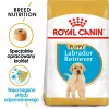 ROYAL CANIN SHN Breed Labrador Junior Trockenfutter für Hunde - 12 kg