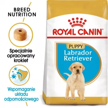 ROYAL CANIN SHN Breed Labrador Junior Trockenfutter für Hunde - 12 kg
