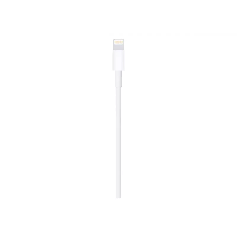 Apple Lightning-auf-USB-Kabel 1m MUQW3ZM/A