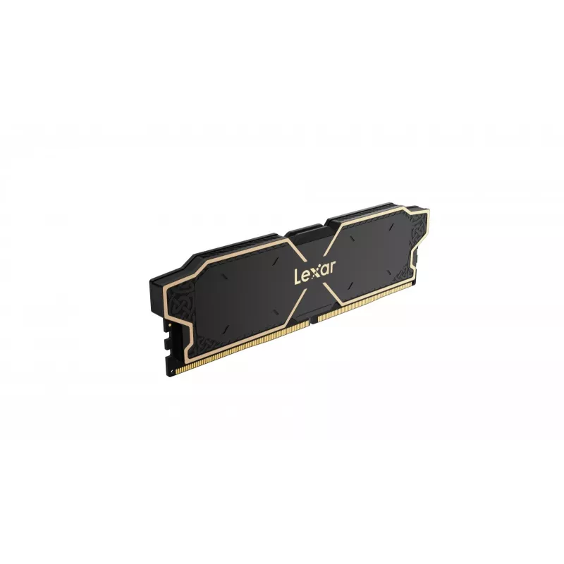 Lexar LD5U08G60C38LG-RGD Speichermodul