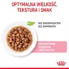 Nassfutter für Katzen Royal Canin Sterilised Gravy, 12 x 85 g Beutel — Huhn, für kastrierte Kätzchen, 11 % Protein, 80,5 % Feuchtigkeit