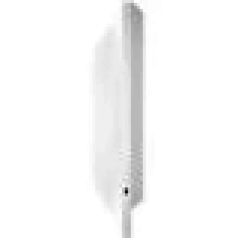 Grandstream Networks GWN7660 wireless access point 1770 Mbit/s Weiß Leistung over Ethernet (PoE)