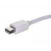 Video-Adapterkabel SAVIO Mini DisplayPort (Stecker) auf HDMI Typ A (Buchse) 0,2 m, weiß