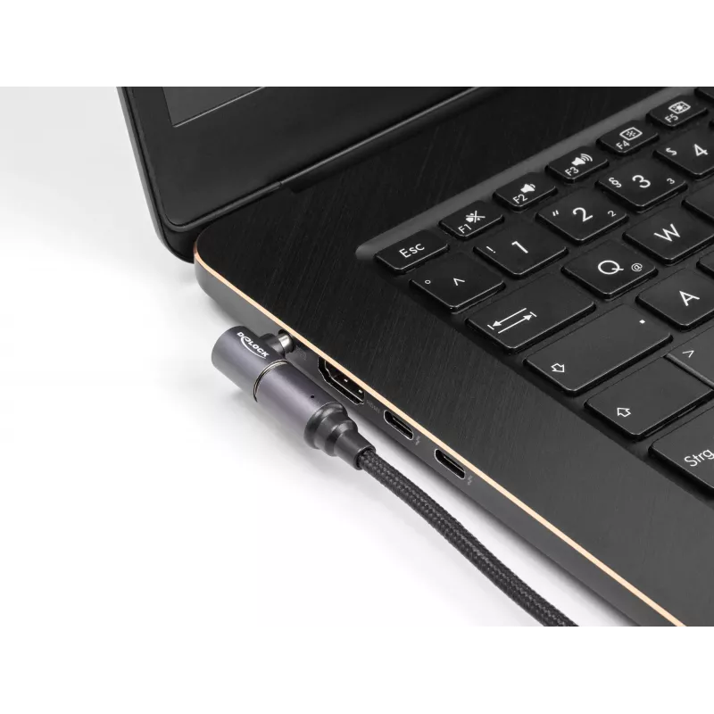 Netzkabel DeLOCK 80781 0,15 m USB-C 8-Pin 20 V