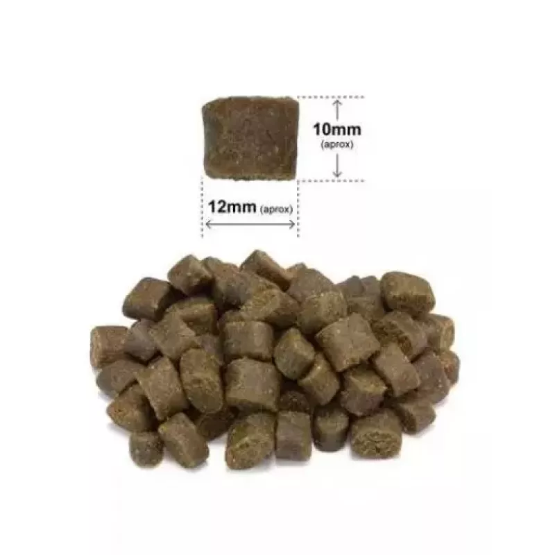 ARQUIVET Frische Ente mit Meeresfisch - halbfeuchtes Hundefutter - 2,5 kg