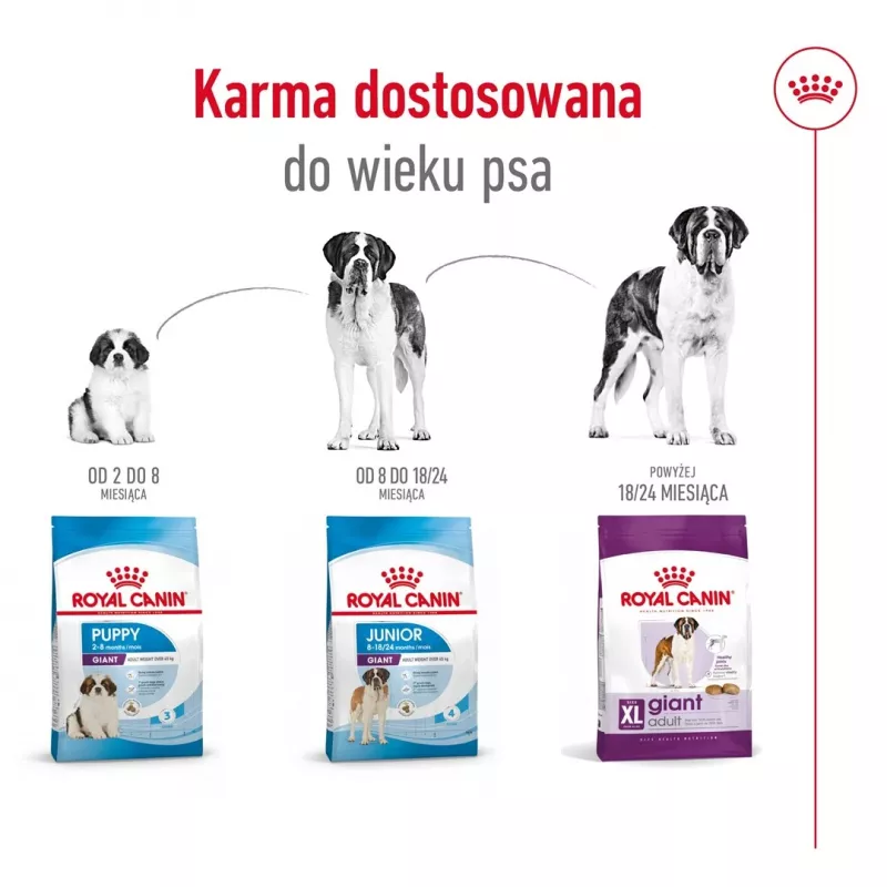 ROYAL CANIN Giant Adult - Trockenfutter für Hunde - 15 kg