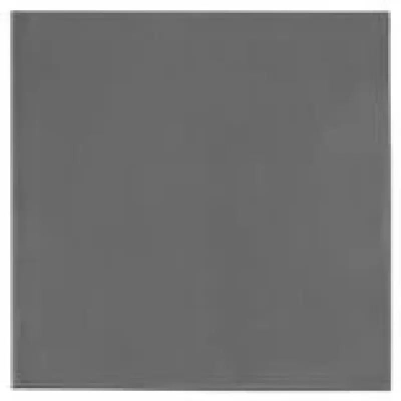 Thermal Grizzly TG Minus Pad Extreme V2 - 100x 1,0 mm (TG-MP-E2-100-100-10)