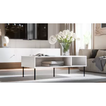 PALAZZO BIS table/latrine 110x60x40 weiß matt