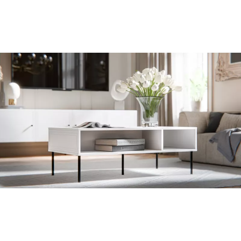 PALAZZO BIS table/latrine 110x60x40 weiß matt
