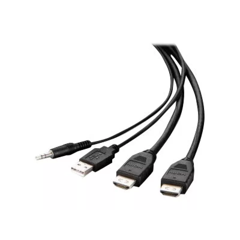 Belkin Secure KVM Combo Kabel - Video- / USB- / Audiokabel - TAA-konform - USB, Miniklinke, HDMI (M)