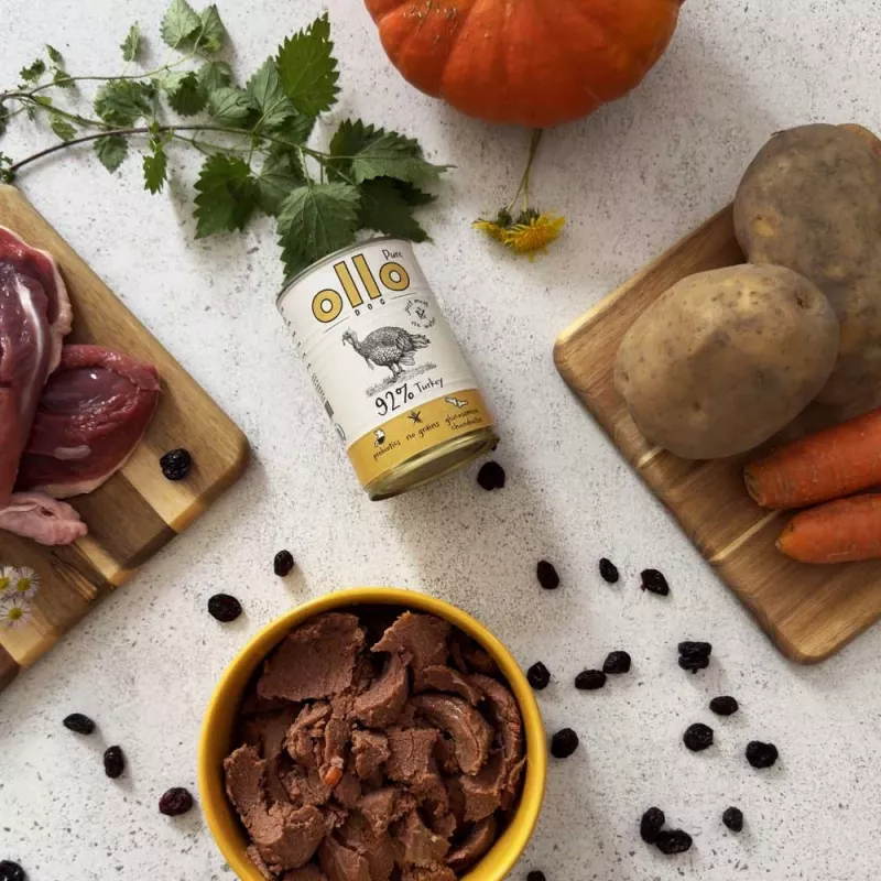 OLLO Pure Truthahn - Nassfutter für Hunde - 850g