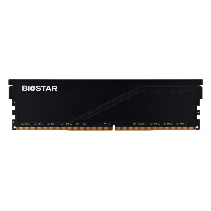 Desktop DDR4 RAM BIOSTAR 16GB 3200MHz mit Kühlkörper (Modell DO32NU4H16)