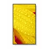 NEC MultiSync M651-2 Kioskdesign 165,1 cm (65 Zoll) LED 500 cd/m² 4K Ultra HD Schwarz Eingebauter Prozessor