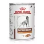 ROYAL CANIN Veterinary Diet Canine Gastrointestinal Low Fat - Nassfutter für Hunde - 420 g
