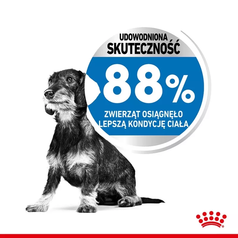 Royal Canin CCN MINI LIGHT WEIGHT CARE - Trockenfutter für ausgewachsene Hunde - 3 kg