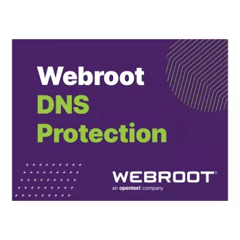 Webroot | DNS Protection with GSM Console | 1 Jahr(e) | Lizenzmenge 10-99 Benutzer