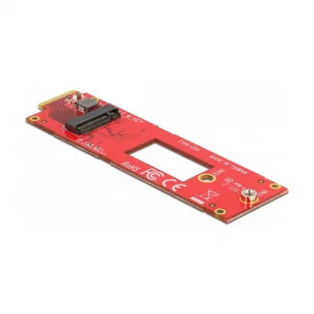 Konverter EDSFF E1.S zu M.2 Key M Slot NVMe DeLOCK 63797