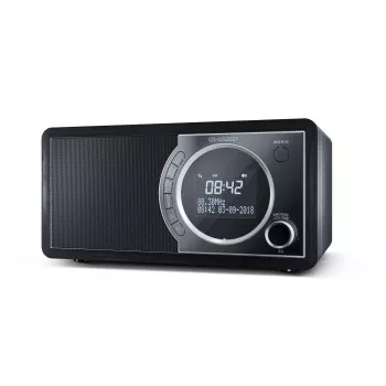 Sharp DR-450 Digitalradio – Schwarz, Personal, Digital, DAB, DAB+, FM, 87,5 – 108 MHz, 174,928 – 239,2 MHz, 3 W