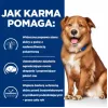 HILL'S PD Canine Derm Complete - Nassfutter für Hunde - 370g