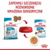 ROYAL CANIN SHN Mini Puppy in Sauce - Nassfutter für Welpen - 12X85g