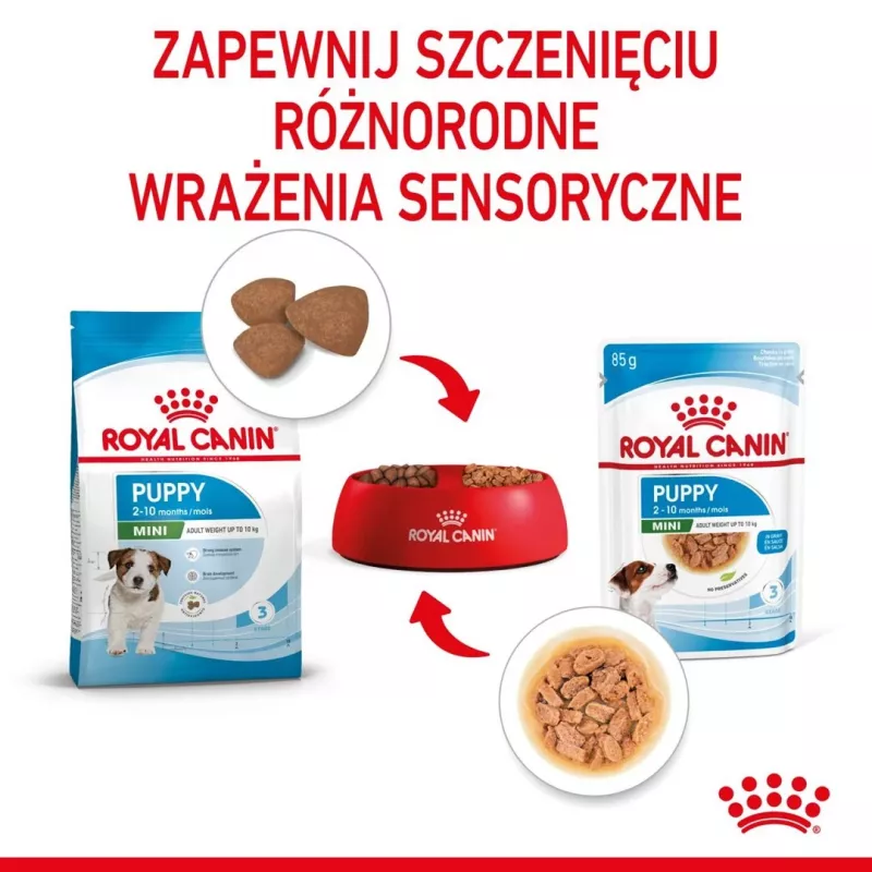 ROYAL CANIN SHN Mini Puppy in Sauce - Nassfutter für Welpen - 12X85g