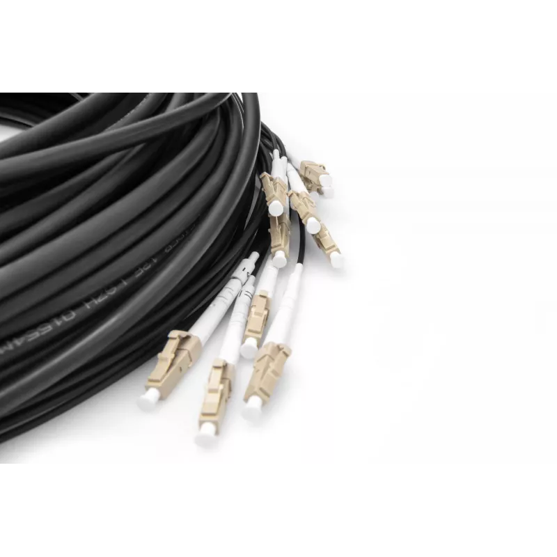 Breakout-Kabel Digitus DK-2433CU030BK-BBB 30m OM4 12 Fasern LC/UPC