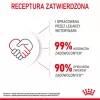 Trockenfutter für Katzen Royal Canin Kitten 2 kg — Geflügel- (Hühner-) Rezeptur, Protein 36 %, Fett 18 %