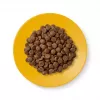 Trockenfutter für Katzen Applaws Senior Chicken — getreidefrei / glutenfrei 2 kg Beutel, 36,5 % Protein, für ältere Katzen