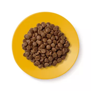 Trockenfutter für Katzen Applaws Senior Chicken — getreidefrei / glutenfrei 2 kg Beutel, 36,5 % Protein, für ältere Katzen