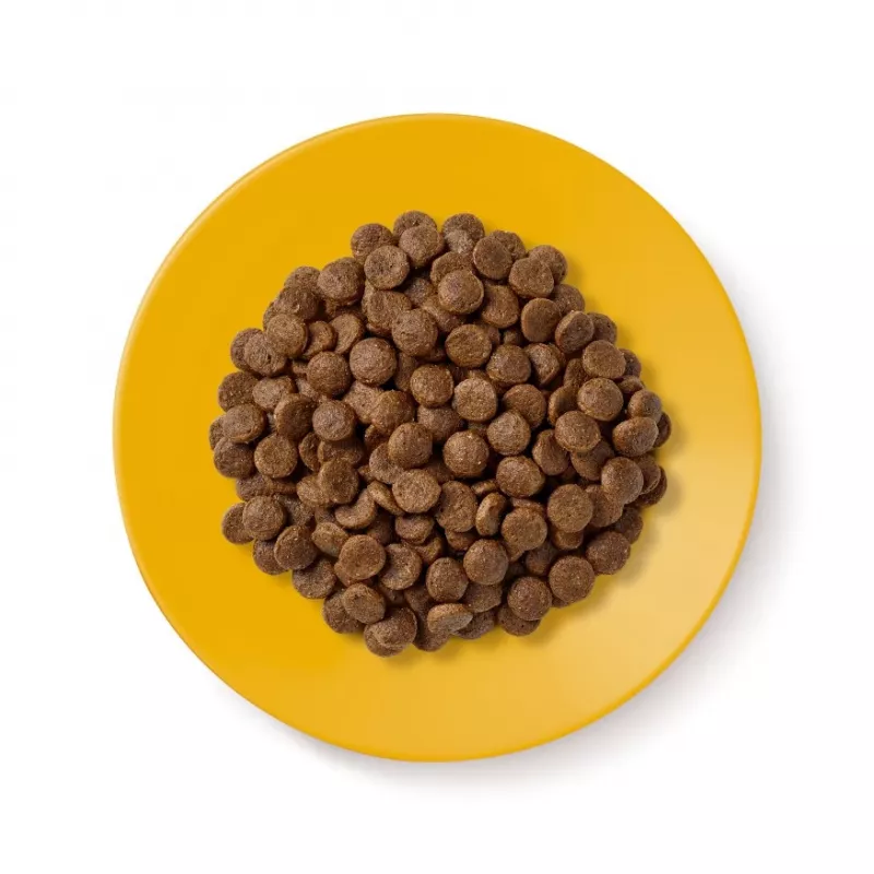 Trockenfutter für Katzen Applaws Senior Chicken — getreidefrei / glutenfrei 2 kg Beutel, 36,5 % Protein, für ältere Katzen