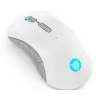 Gaming-Maus Lenovo Legion M600 RF Wireless + Bluetooth + USB Typ-A, beidhändig, 16000 DPI, 9 Tasten, wiederaufladbar