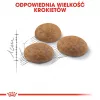 Royal Canin Outdoor Trockenfutter für Katzen 2 kg
