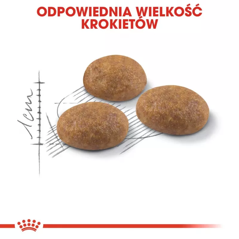 Royal Canin Outdoor Trockenfutter für Katzen 2 kg